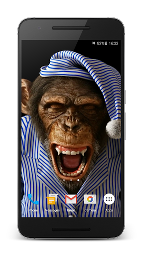 Funny Monkey 3D Live Wallpaper Screen 2
