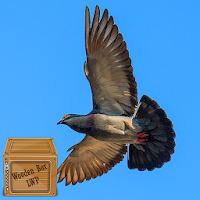 flying pigeon wallpaper