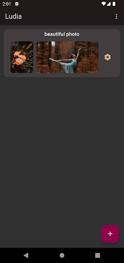 Android application Ludia screenshort