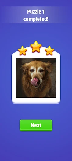 Picture Puzzle - Screenshot 3