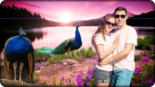 Peacock Photo Frames