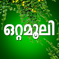 Ottamoolikal Malayalam