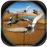 Desert Sniper Spy Pigeon Hunt icon