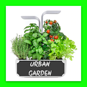 How to plant an urban garden