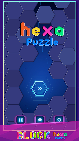 Hexa Puzzle - Screenshot 2