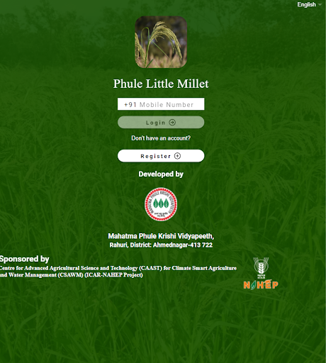 Phule Little MIllet