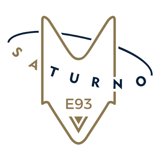 SaTurno Tickets logo