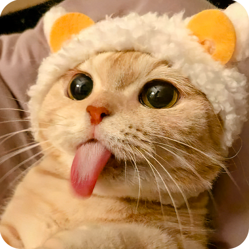 Cat Animated Stickers logo