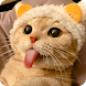 Cat Animated Stickers - Androidアプリ