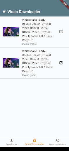 Ai Video Downloader Screen 2