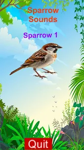 Sparrow Tones Sound Simulator