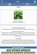 screenshot of Ref. Guide for Essential Oils