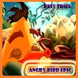 BEST ANGRY BIRD EPIC TIPS icon