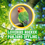 Cover Image of Télécharger Lovebird Ngekek Panjang  APK