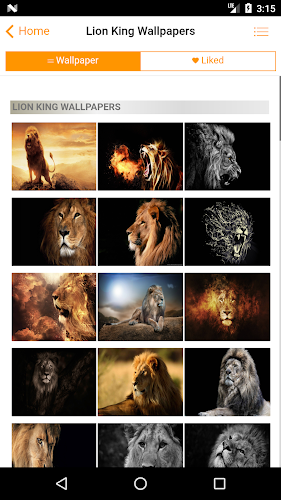 Lion King Wallpapers - Best Lion Wallpapers HD - Latest version for Android  - Download APK