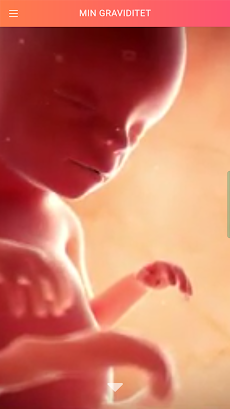 The BabyApp - Gravid & Babyのおすすめ画像1