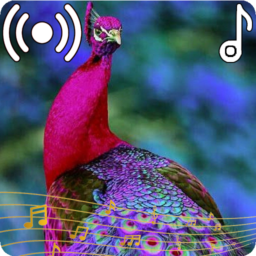 Peacock Sounds Ringtone logo