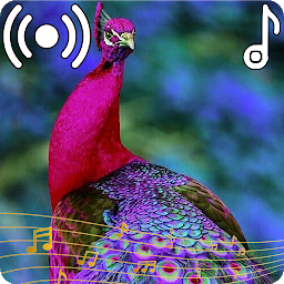 Icon image Peacock Sounds Ringtone