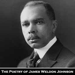Icon image The Poetry of James Weldon Johnson