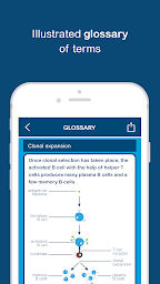 Biology Revision - Biobrain