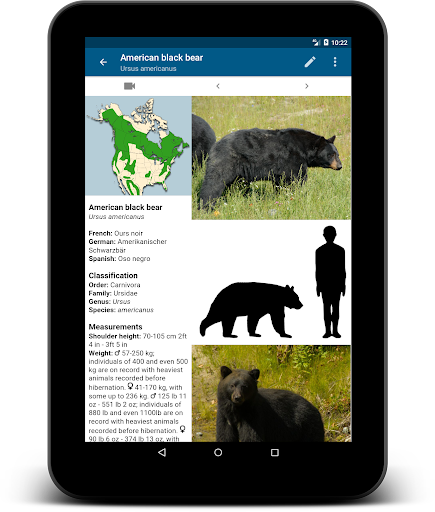 Stuarts North American Mammals Screenshot