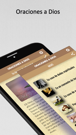 Vista previa de la aplicación