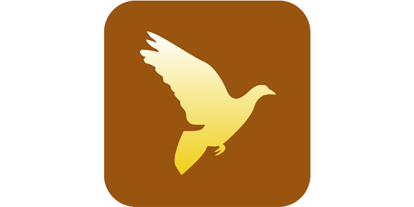 Citations Spirituelles Et Philosophiques Apps On Google Play