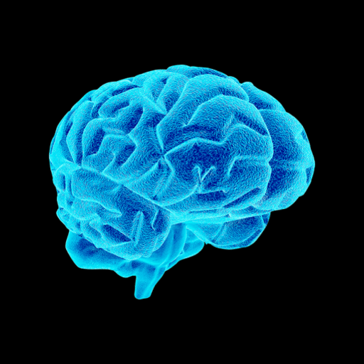 NeuroVox logo