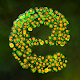 Everlution：Spore & Bacteria io دانلود در ویندوز