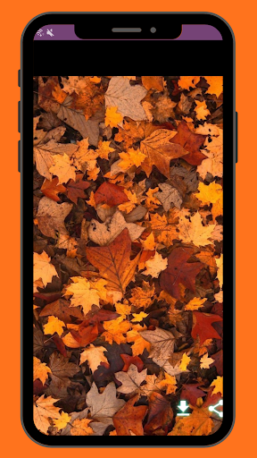 خلفيات فصل الخريف