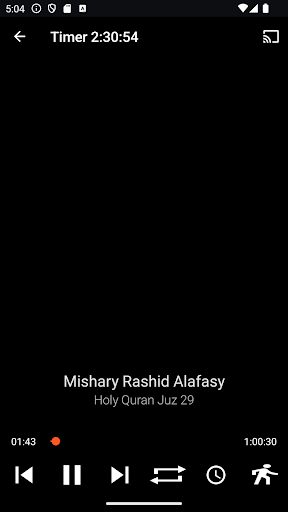 Holy Quran Juz 29 MP3