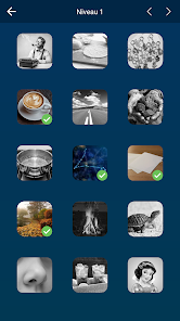 Screenshotafbeelding