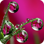 Cover Image of Download Water Drops Wallpaper 4K Latest 1.09 APK