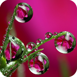 Icon image Water Drops Wallpaper