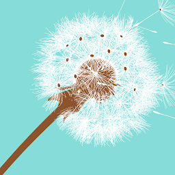 Icon image Massage Truck