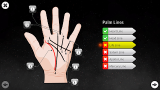 Palm Reading Premium - Screenshot 1