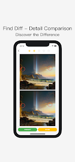 Find Diff - Detail Comparison