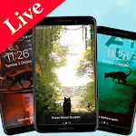 Cover Image of Unduh Live Wallpaper Stray Cat  APK