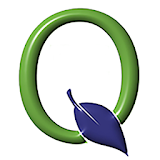 Q Mobile icon