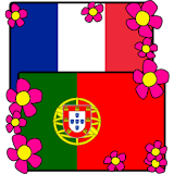 Portuguese-French Dictionary icon