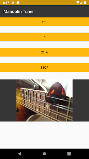 Mandolin Tuner Afinador Screen 3