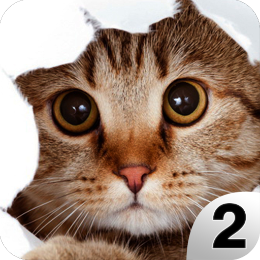 Find a Cat 2 - Hidden Object  Icon
