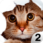 Cover Image of Unduh Find a Cat 2 - Hidden Object  APK