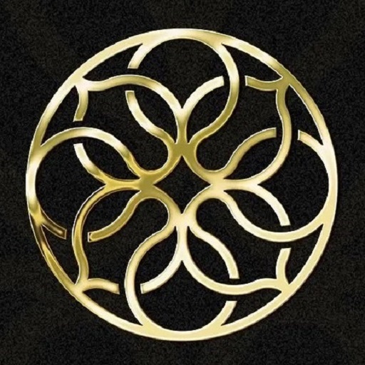 Dream City - Trading logo