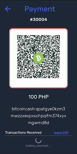 Paytaca POS Screen 3