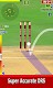 screenshot of Cricket World Domination