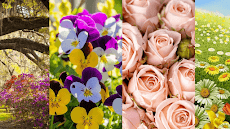 Flower Imagesのおすすめ画像3