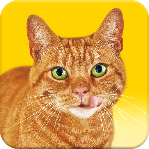 Friskies® Call Your Cat  Icon