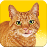 Cover Image of Download Friskies® Call Your Cat  APK