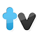 Twitvid icon